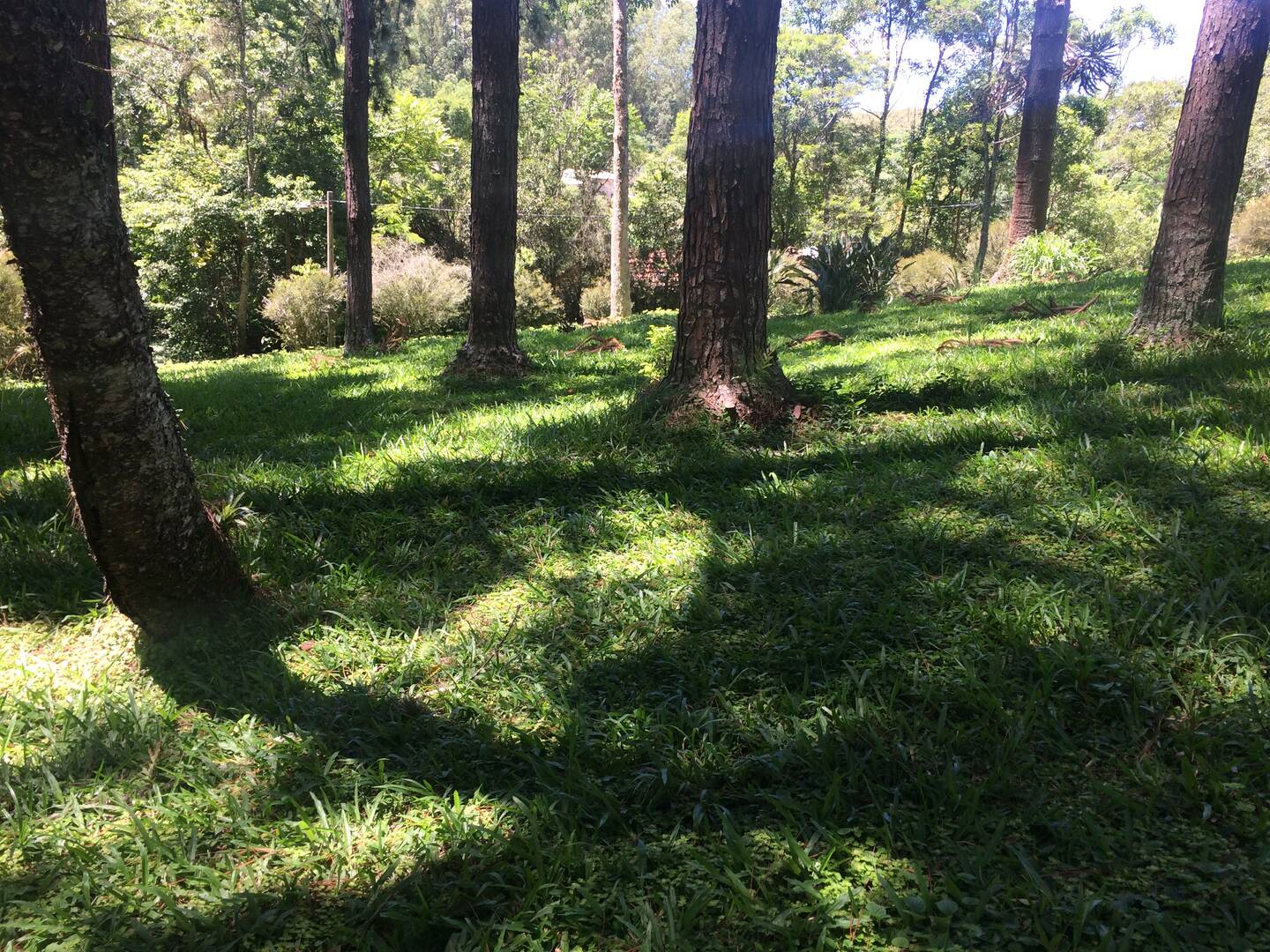 #368 - Sítio para Venda em Mogi das Cruzes - SP