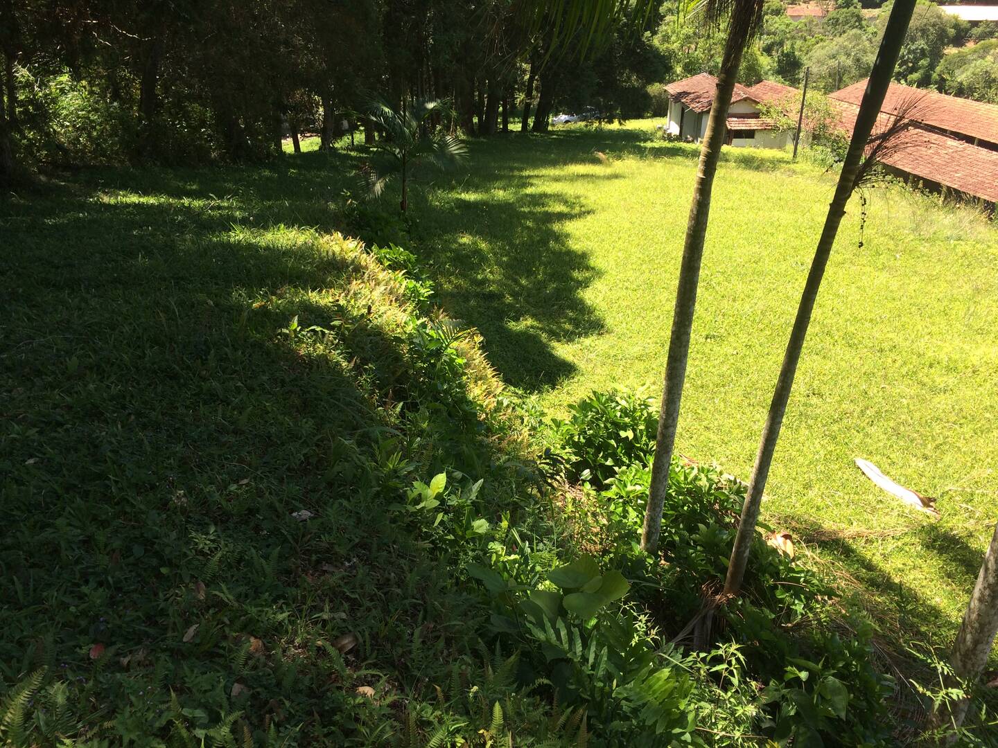 #369 - Chácara para Venda em Mogi das Cruzes - SP